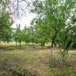 Investiție Ideală: Teren pentru construcții, r. Criuleni