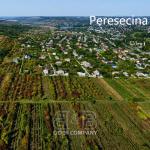 Teren Agricol de Vânzare – 7,34 Ari, Peresecina, Orhei