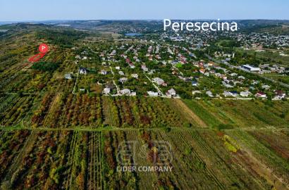 Teren Agricol de Vânzare – 7,34 Ari, Peresecina, Orhei