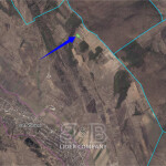 Teren agricol de vânzare – 48 Ari – satul Văsieni, r-n Ialoveni