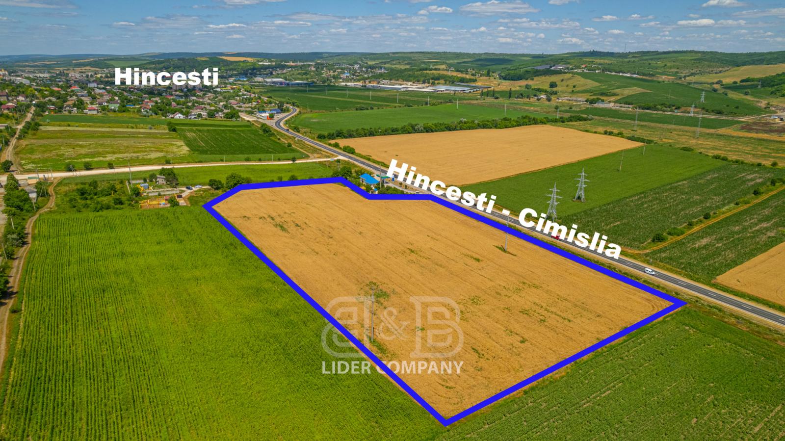 Teren agricol  de vânzare - Hîncești